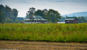 Jubilee Biodynamic Farm, Carnation WA