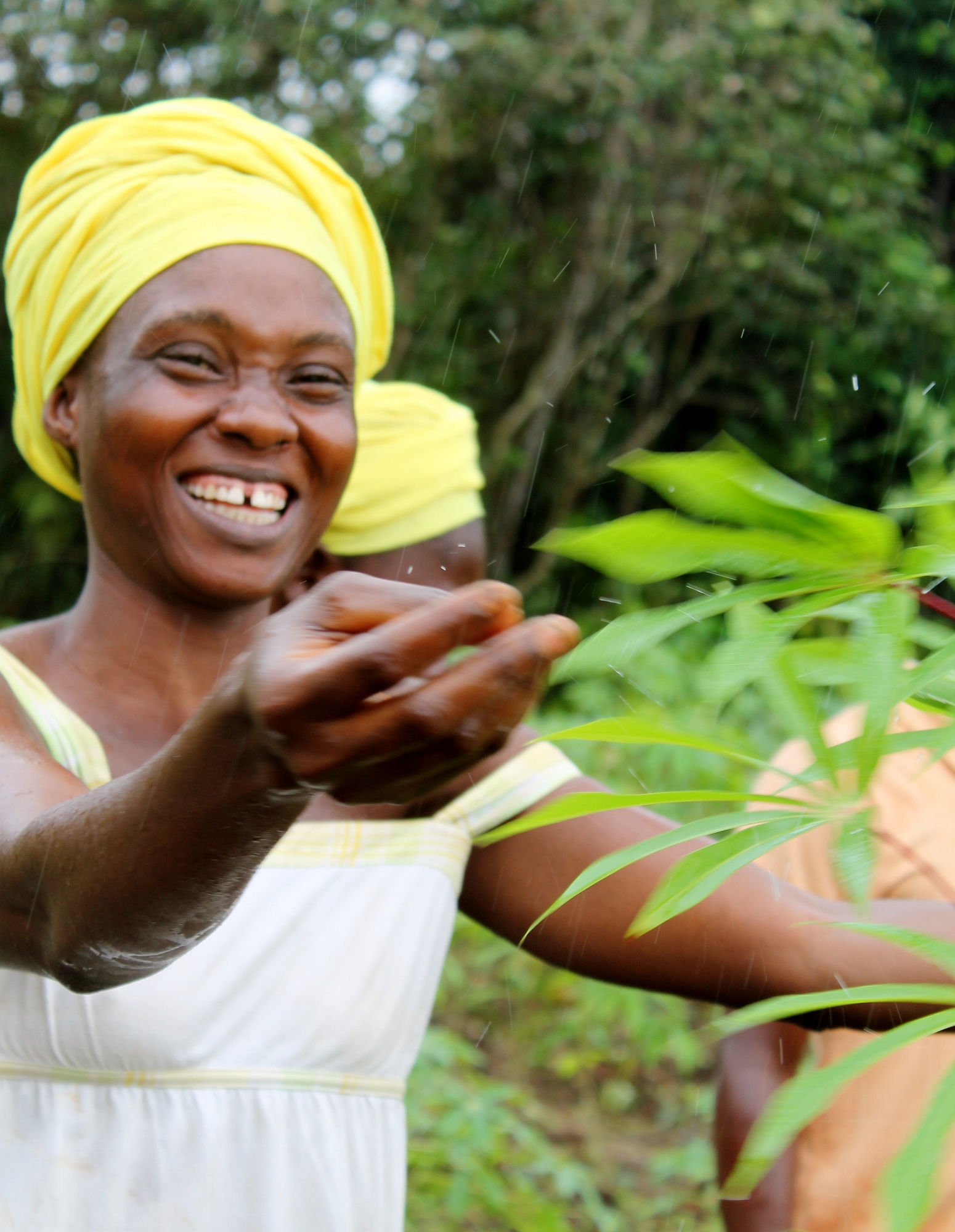 Student Farmers in Liberia Get Back to the Soil and Into the Classroom