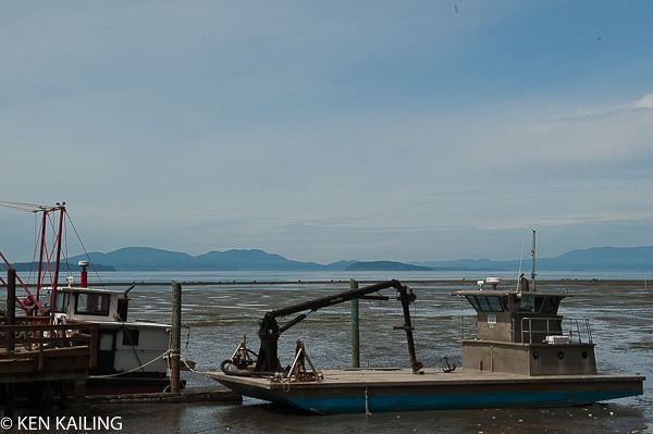 Taylor Shellfish Farms, Bow WA