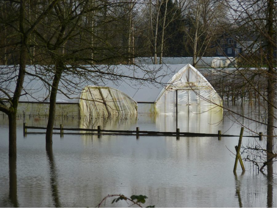 Flood at Jubilee Biodynamic Farm