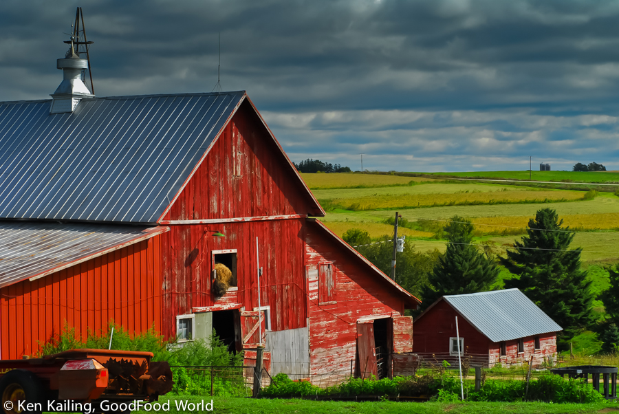 Summer on McEvilly Farm