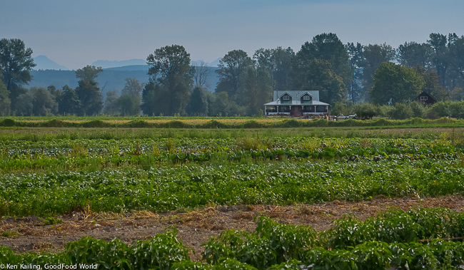 Jubilee Biodynamic Farm, Carnation WA