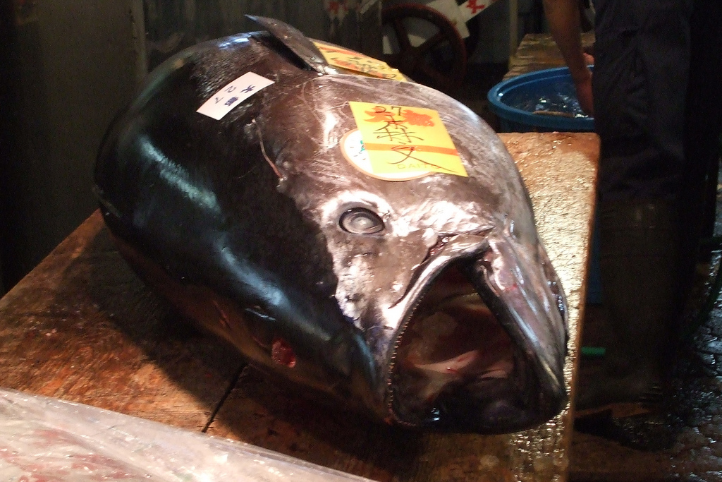 Tsukiji Fish Market, Tokyo: The Ocean’s ‘Going-Out-of-Business’ Sale