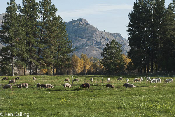 Crown S Ranch, Winthrop WA