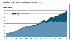 Source: The State of the World Fisheries and Aquaculture, FAO (2014)