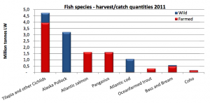 Salmon Farming Industry Handbook, Marine Harvest Group (producers of farmed atlantic salmon), 2013