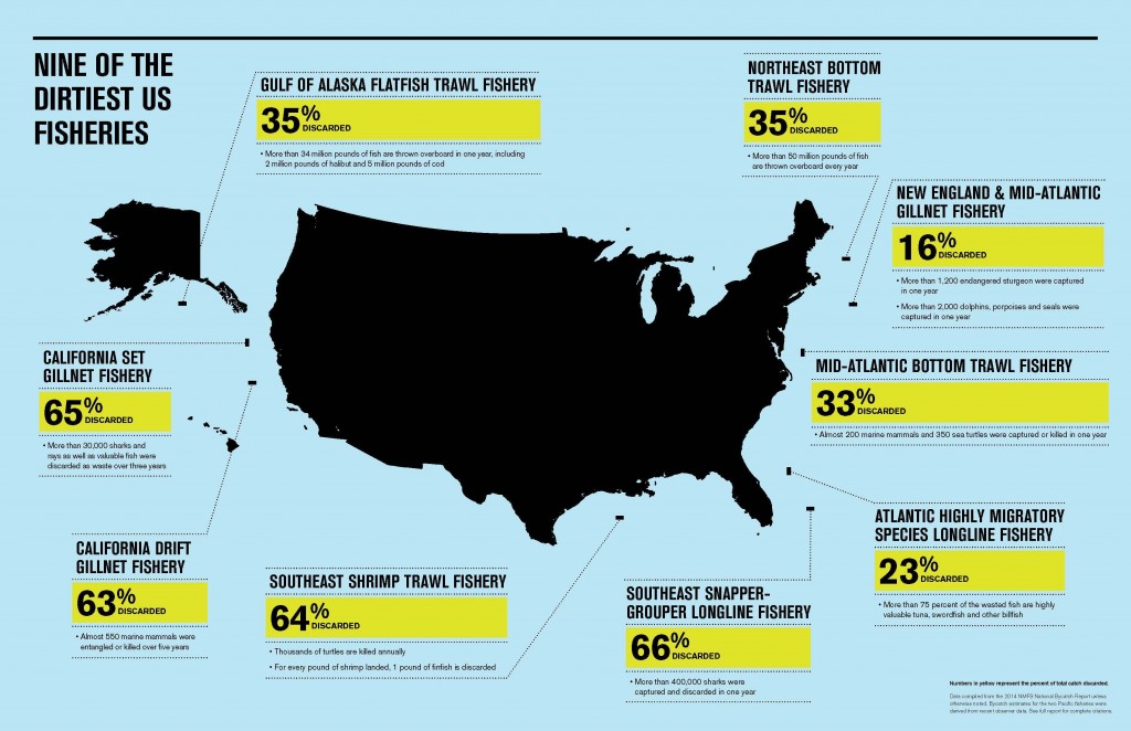 Source: Wasted Catch - Unsolved Problems in U.S. Fisheries, Oceana