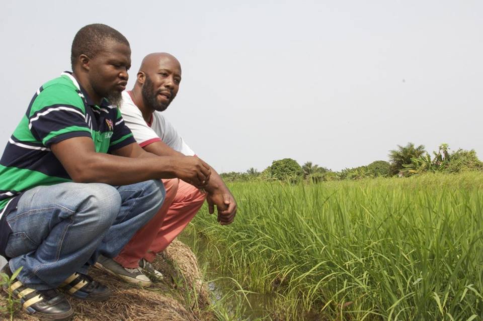 Bill Tolbert (right) and fellow farmer at Grain Coast Farms.