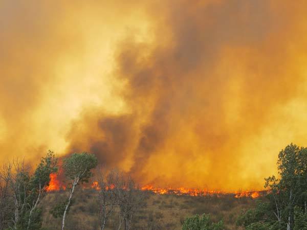 Fire Update: Making Sure Farm Friends Are OK