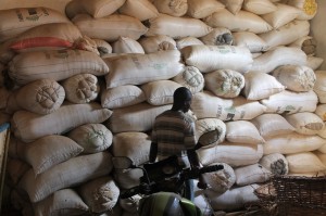Local processor Fabrar Liberia purchases 100 bags of rice from farmers in Lofa County, Liberia.
