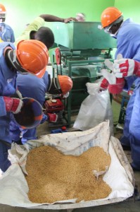 Processing rice at the Nimba Rice Hub