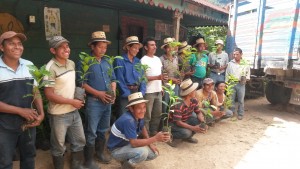Coffee farmers of ASOIxil with new trees.