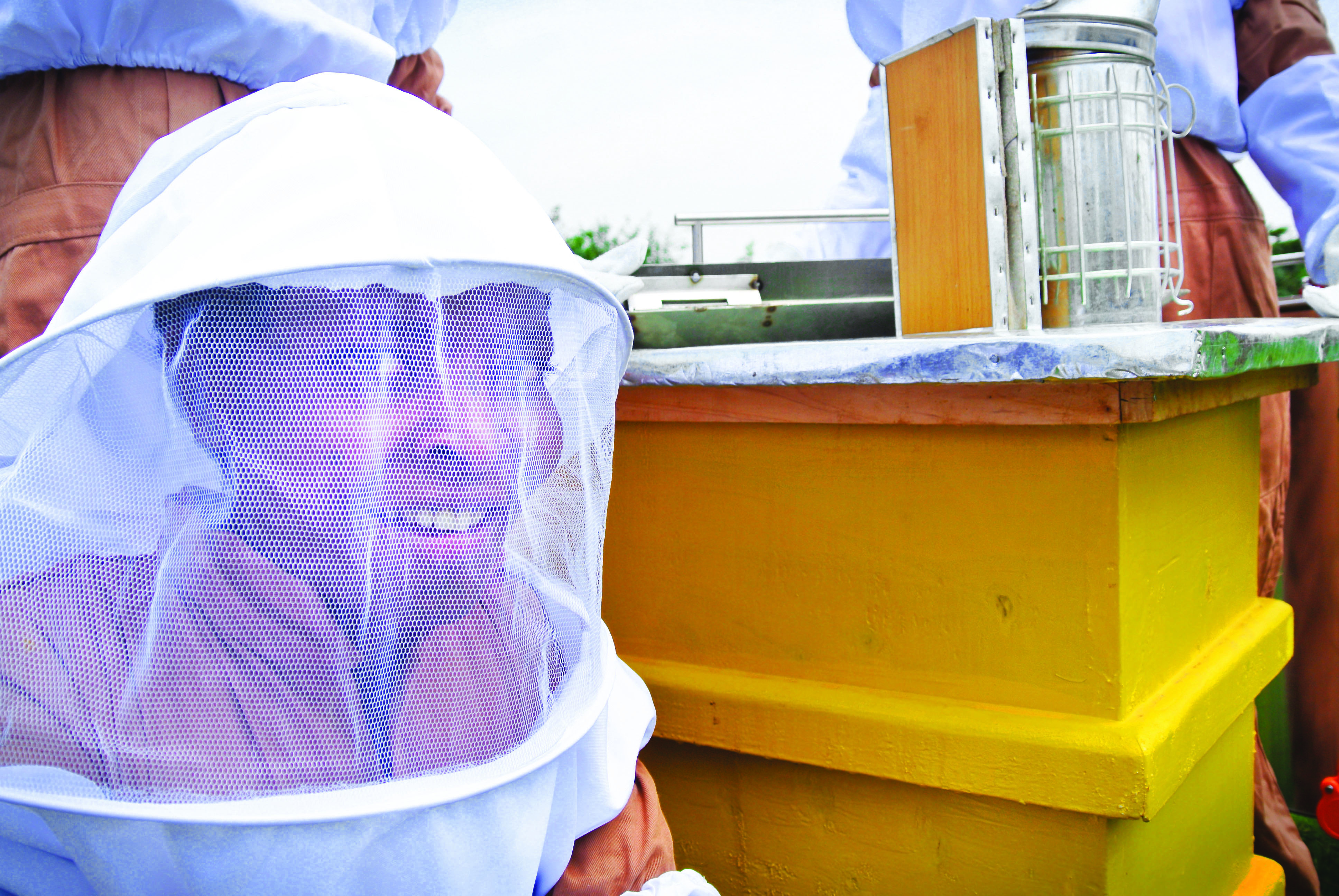 Modern Hives Give Ethiopian Women Farmers New Vocation