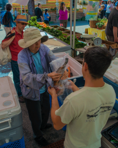 Dylan at the farmers market.