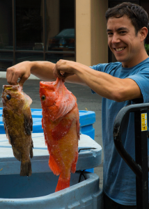 Loki doesn't only sell salmon; Dylan and two rock fish.