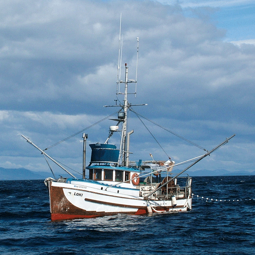 In Support of Small Boat Fishers and Small Business