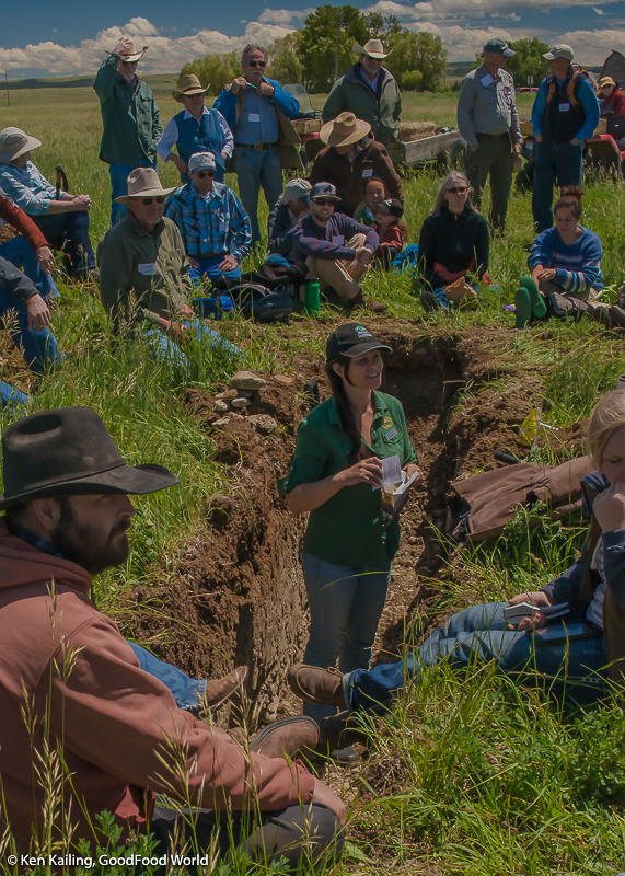 A Soil Crawl in Big Timber, Montana