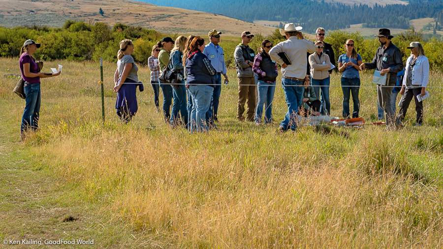 The Resilient Ranch