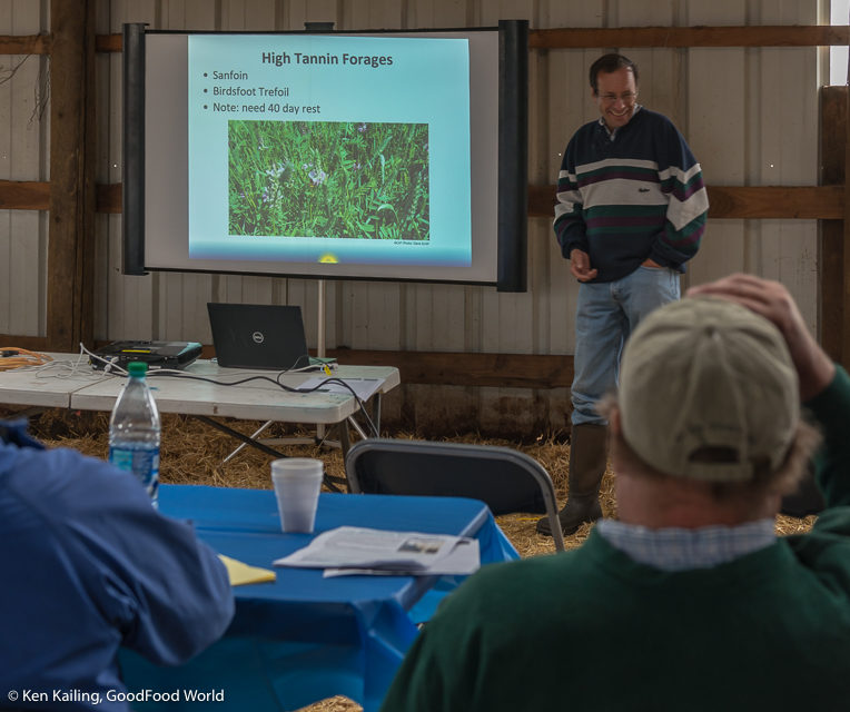 All Things Sheep, Kids (the 2-legged kind), Barber Pole Worms, and Mud… and Community