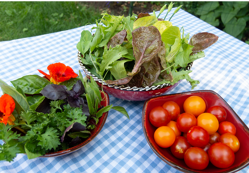 Gardening is a Subversive Act! Plus You Get Tomatoes…