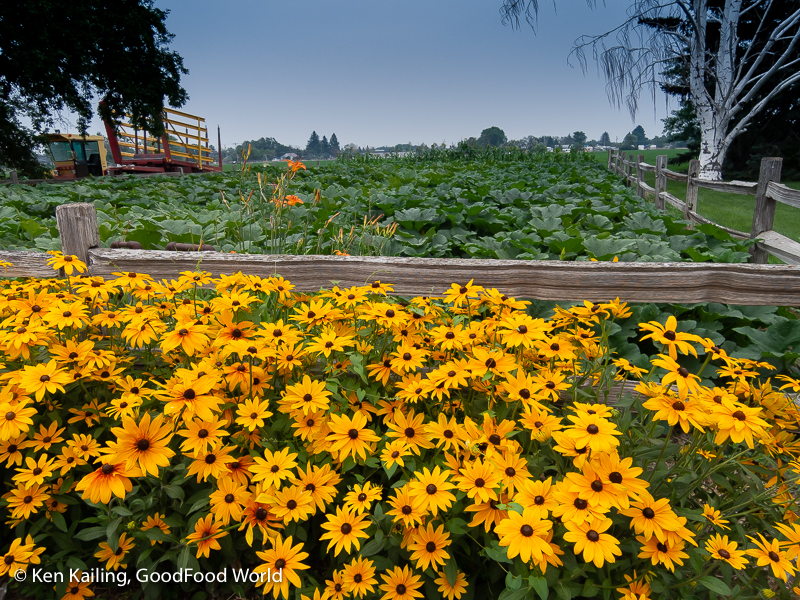 Local Farm and Garden at Risk? You Are Needed…