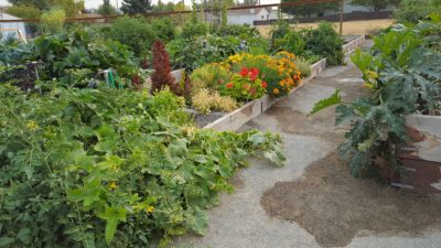 Community Garden